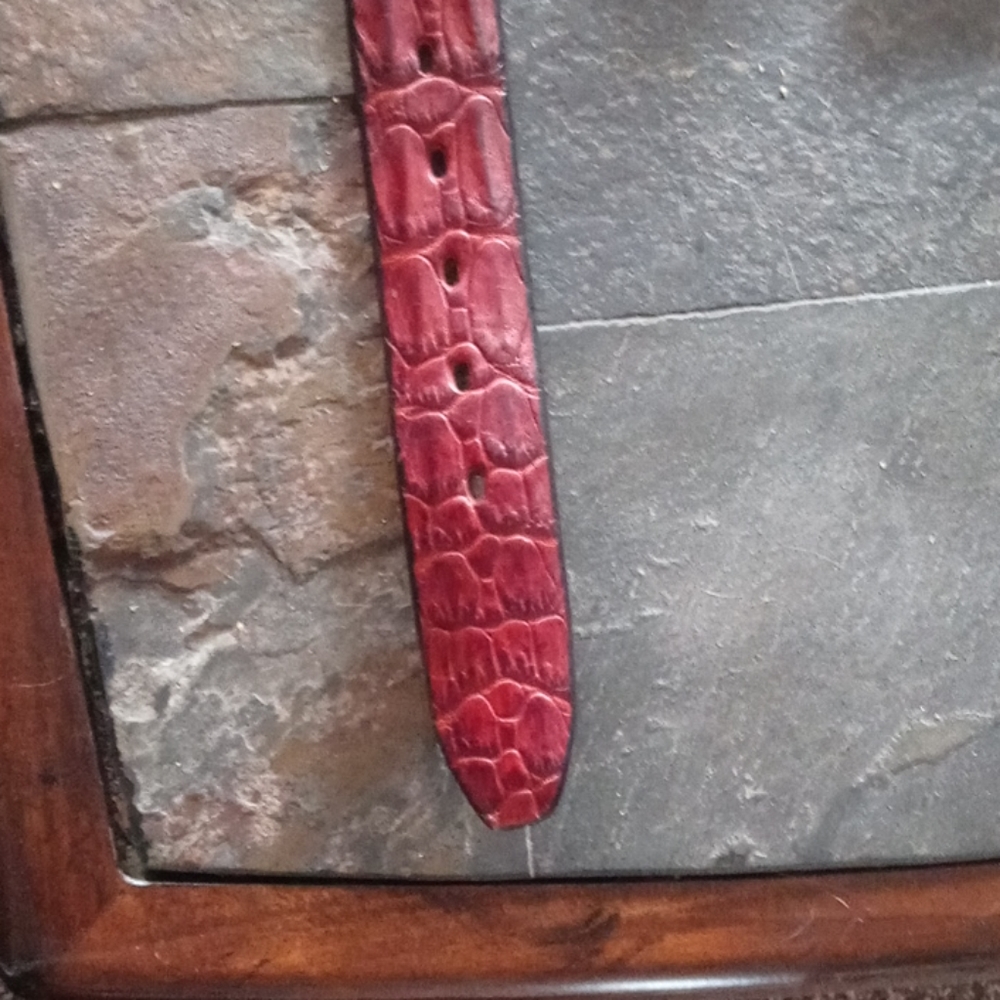 Reef Men's Belt - Picture 8 of 8